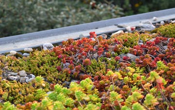 the cost of Cambridgeshire green roof installation