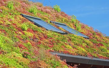 Cambridgeshire living roof systems